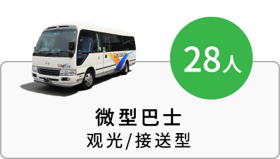 微型巴士(28人） 观光/接送型