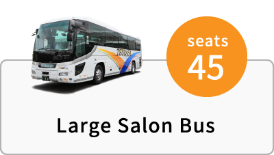 Large Salon Bus (seats 45)