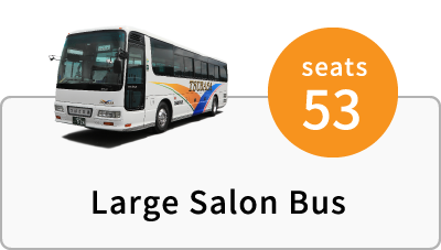 Large Salon Bus (seats 53)