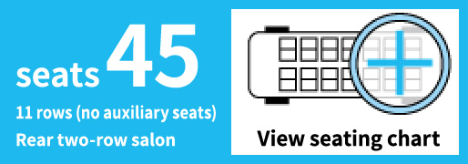 Large Salon Bus seats 45